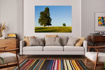 Large tree dominates small tree on hillside Reproduction