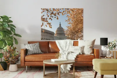 Cherry blossoms framing the Capitol Reproduction