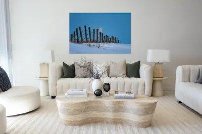 Snowy Owl Reproduction