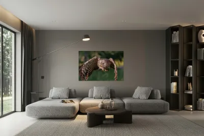 Great Gray Owl Reproduction