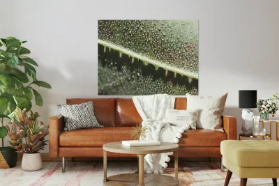 Leaf with Morning Dew Reproduction