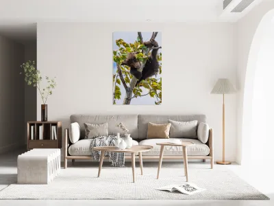 Black Bear Cub Reproduction