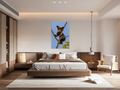 Black Bear Cub Reproduction