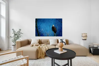 Bald Eagle Blues Into Night Reproduction