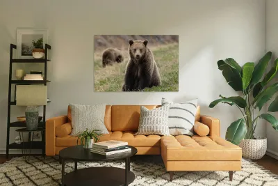 Grizzly Siblings Reproduction