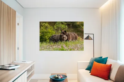 Grizzly Sow with Cub Reproduction