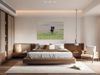 Red Fox Kit Reproduction