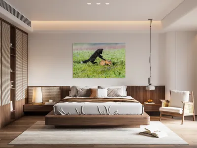 Red Fox Kits Reproduction