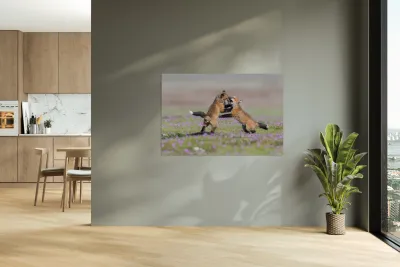 Red Fox Kits Reproduction