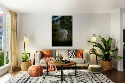 Mountain Goat Reproduction