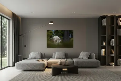 Mountain Goat Reproduction