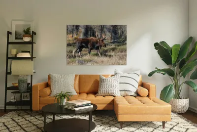 Bull Moose Reproduction