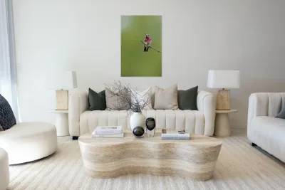 Male Calliope Hummingbird Reproduction