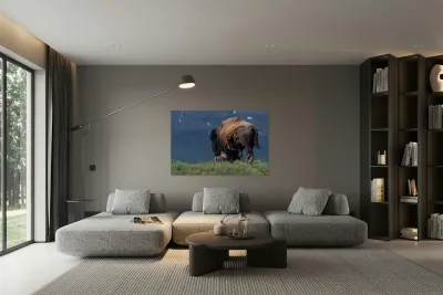 Male Bison Reproduction