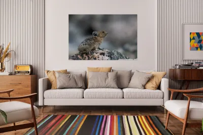 American Pika Reproduction
