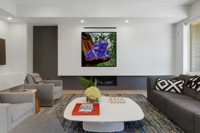 Bufo Alvarius - Sonoran Desert Toad Reproduction