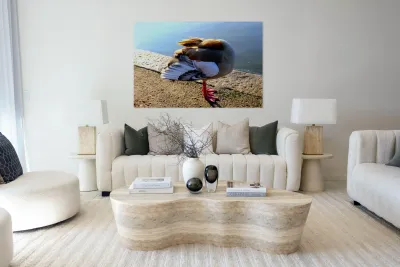 Headless Duck Reproduction