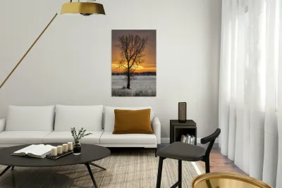 Lone Tree at Sunrise Reproduction