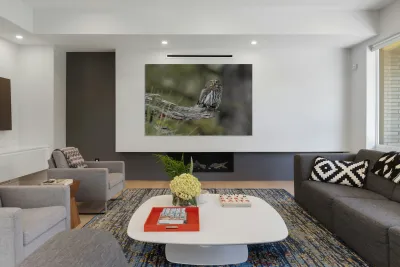 Northern Pygmy Owl Reproduction