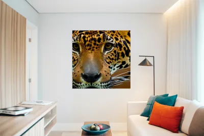 Determined. Tiger Eyes. Reproduction