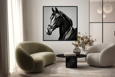 Sinbad. Horse. Line Art. Reproduction