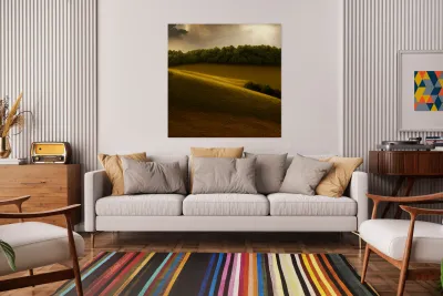 The Epic View Reproduction