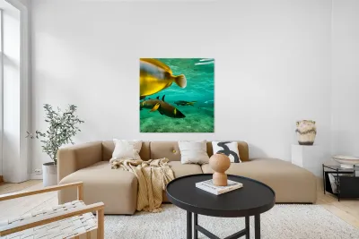 The Tail End. Reproduction