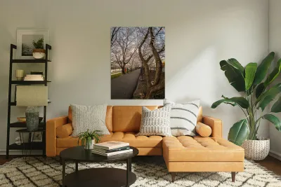 Jogger running on the bike walking trail over Deckers Creek Morg Reproduction