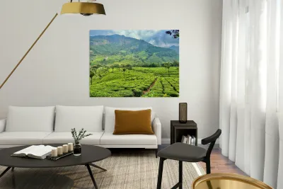 Tea Plantations 2 Reproduction