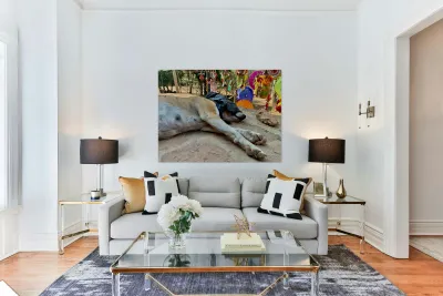 Doggie Afternoon Nap Reproduction