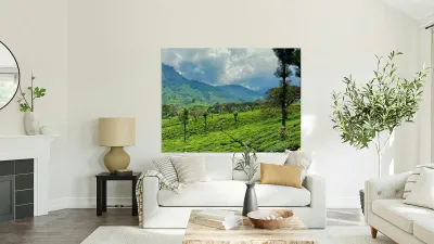 Tea Plantation Wonders Reproduction