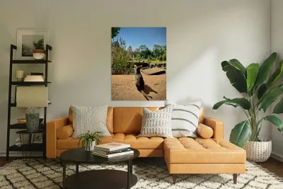 Kitty Overlooking the Garden Reproduction