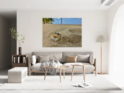 White Crab on the Beach Reproduction