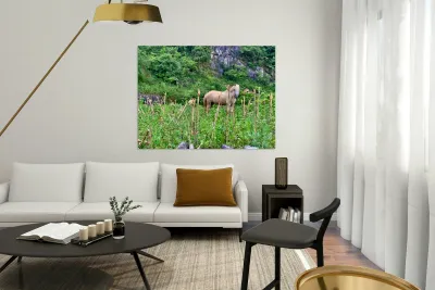 Wild Horse in the Field Reproduction