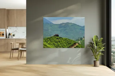 Rock on Top of Tea Reproduction