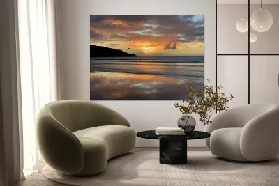 Amazing Sunset with Bird Reproduction