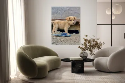 Flip Flop Puppy Reproduction