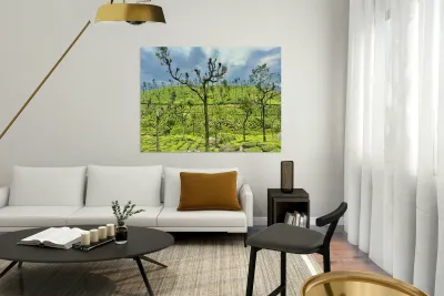 Trees in the Tea Plantations Reproduction