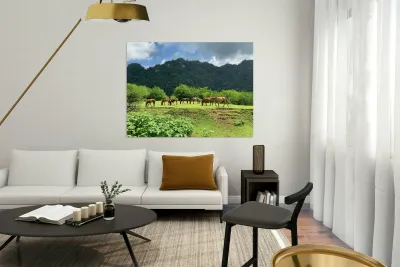 Wild horses Reproduction