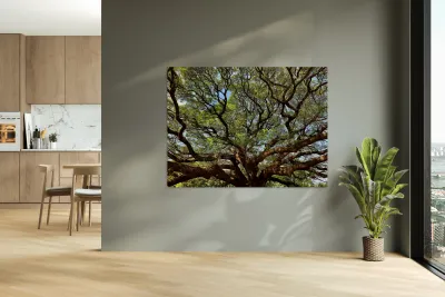 All the Branches Reproduction