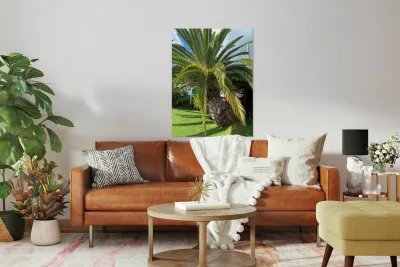 Baby Palm Tree Reproduction