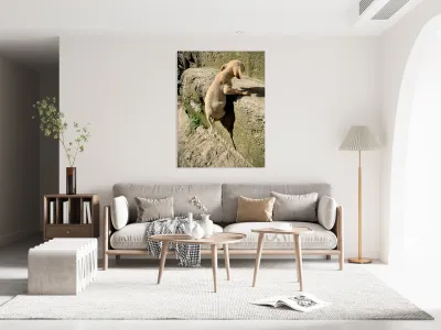 Puppy s efforts Reproduction