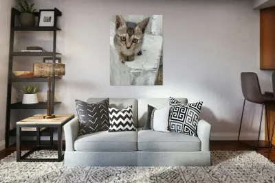 Cute Kitty 3 Reproduction