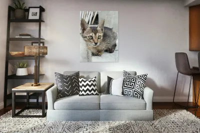 Cute kitty 2 Reproduction