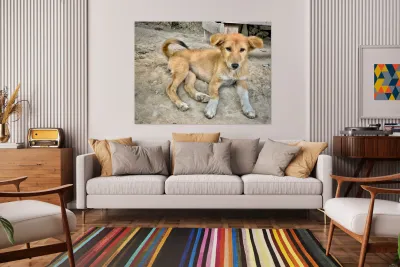 Cute Puppy Reproduction