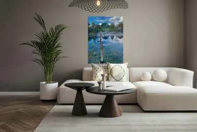 Mysterious Reflection Reproduction