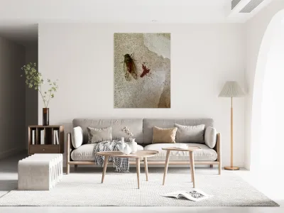 The Fly Reproduction