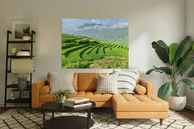 Rice Fields Going Down Reproduction