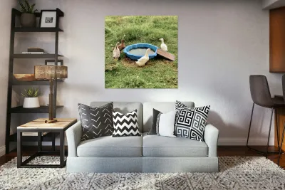 Ducks Plastic Pool Reproduction