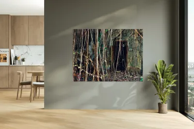 Find the Entrance Reproduction